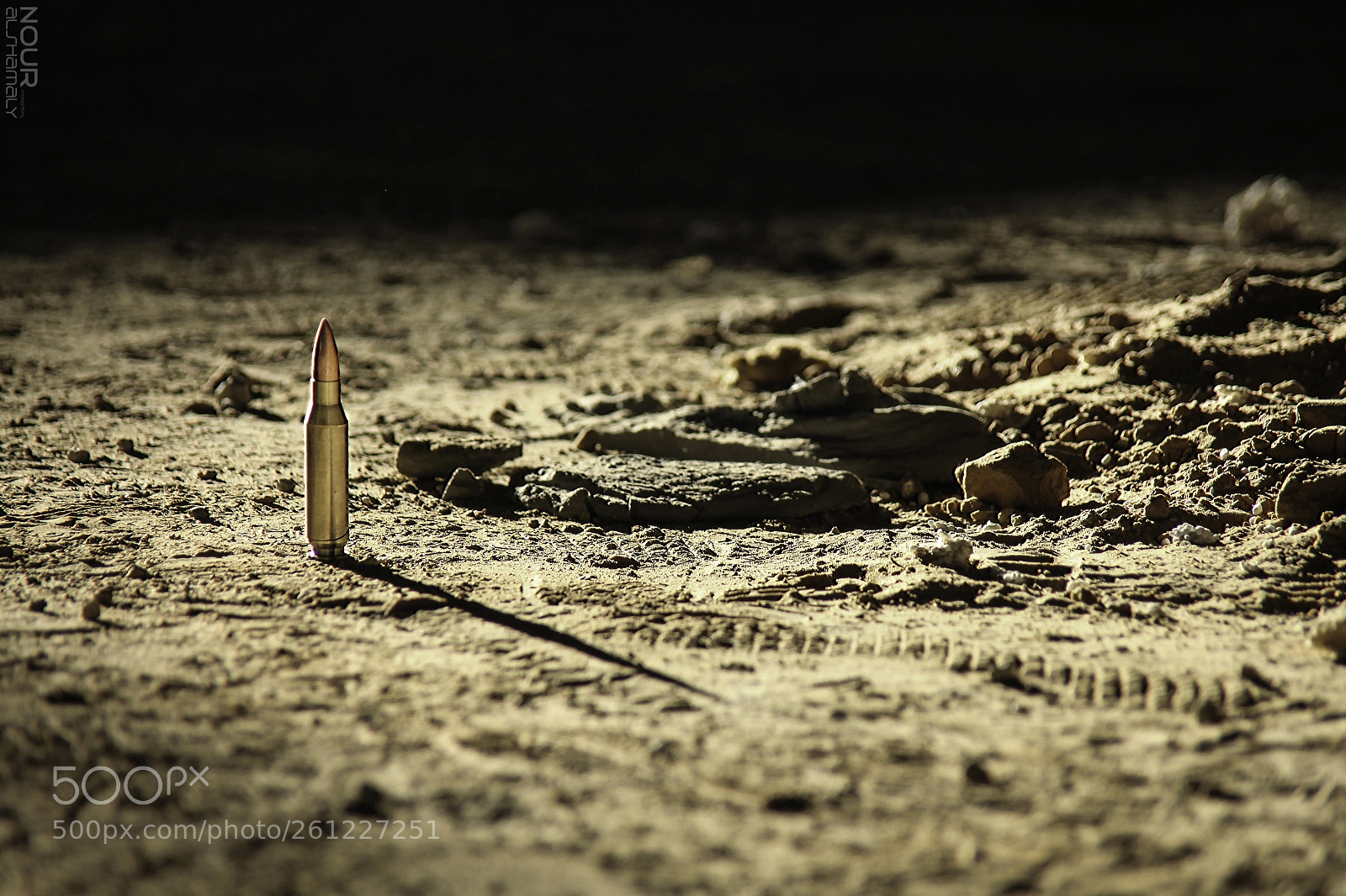 Canon EOS 5D Mark II sample photo. The warrior fell and photography
