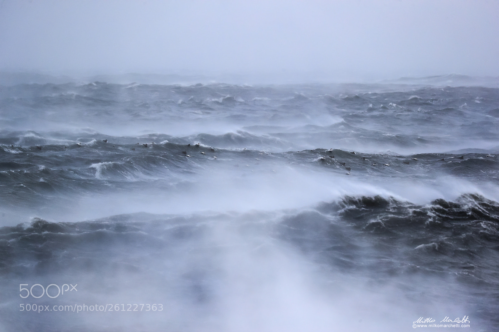 Canon EOS-1D X Mark II sample photo. Stormy sea photography