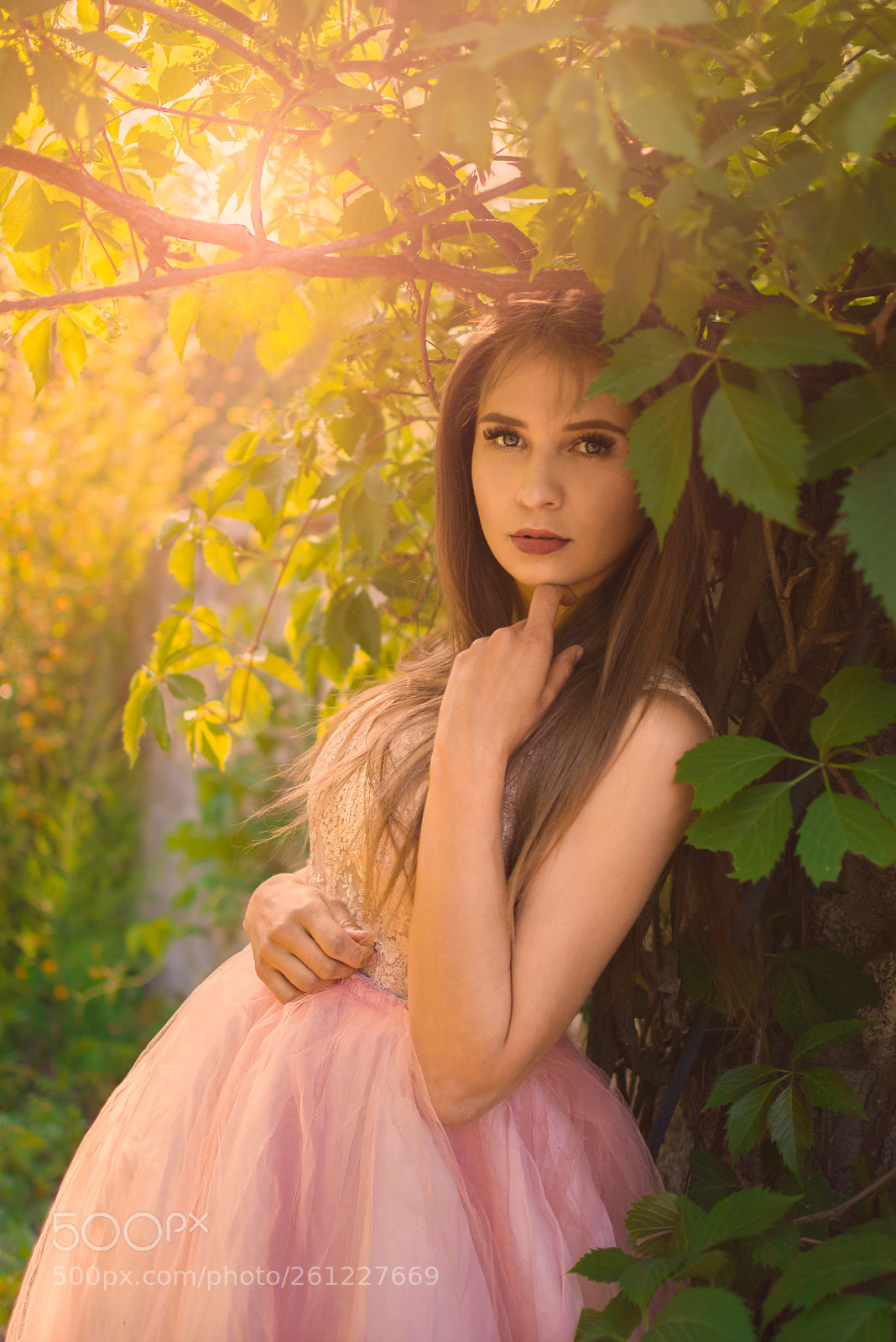 Nikon D7100 sample photo. Golden hour photography