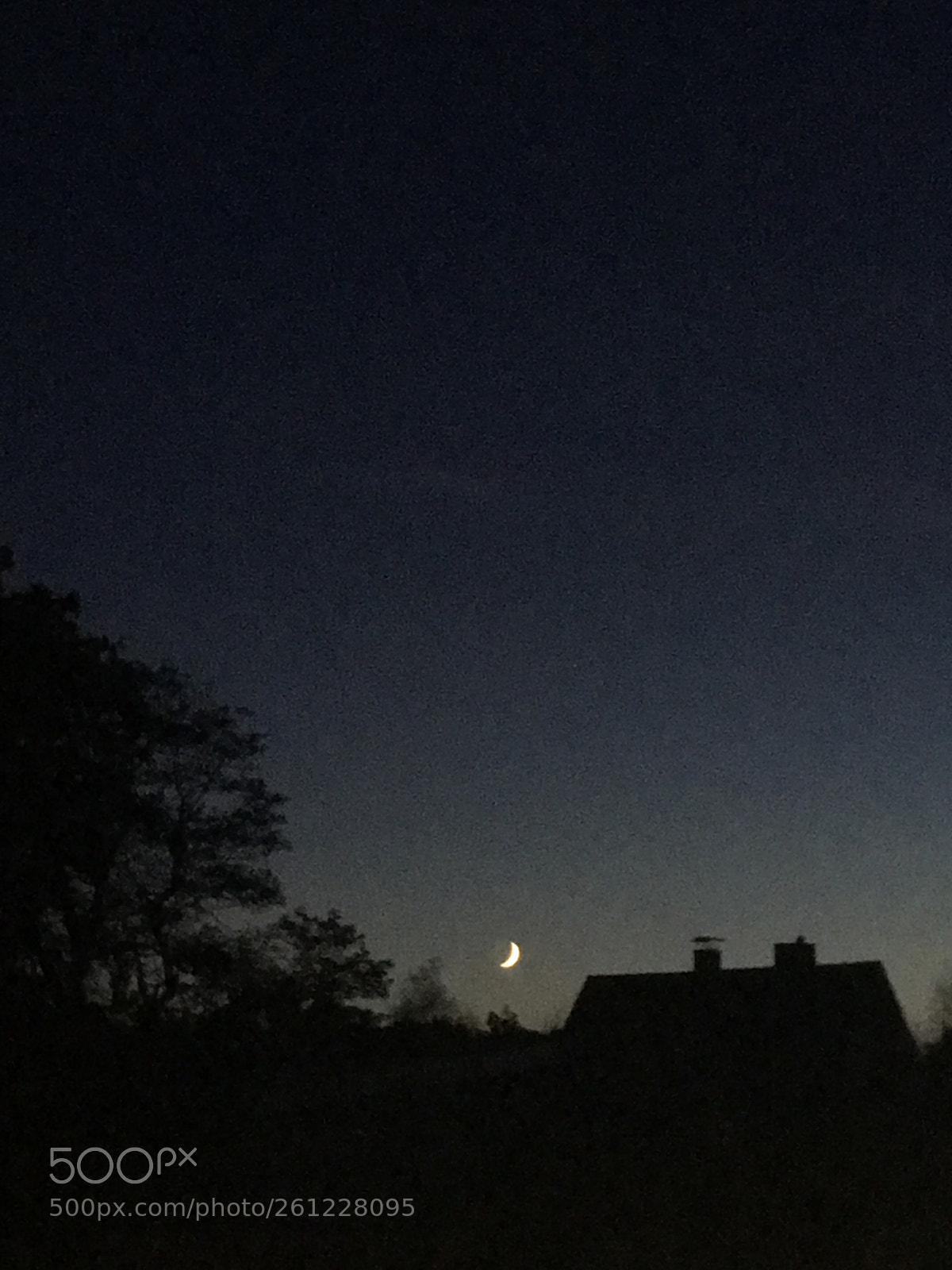 Apple iPhone 6s Plus sample photo. Untitled photography