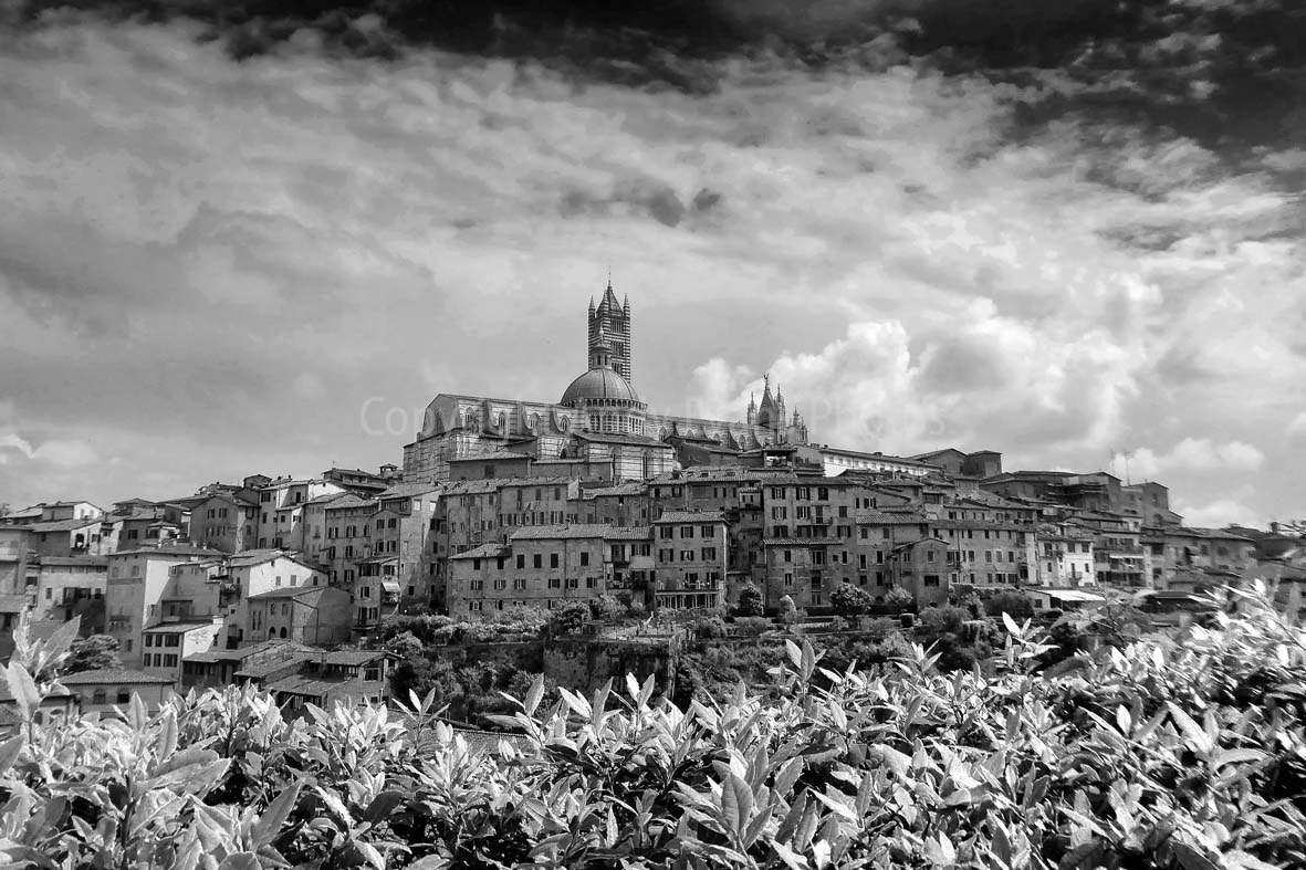 Panasonic Lumix DMC-ZS40 (Lumix DMC-TZ60) sample photo. Siena skyline cityscape of the medieval city in southern tuscany photography