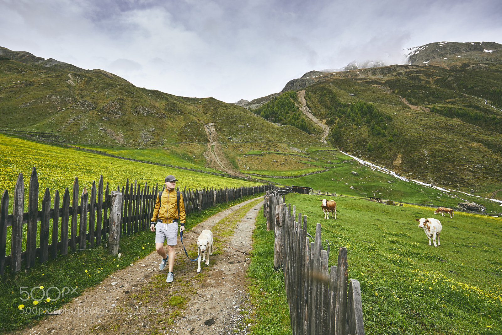 Canon EOS 5D Mark IV sample photo. Tourist with dog in photography