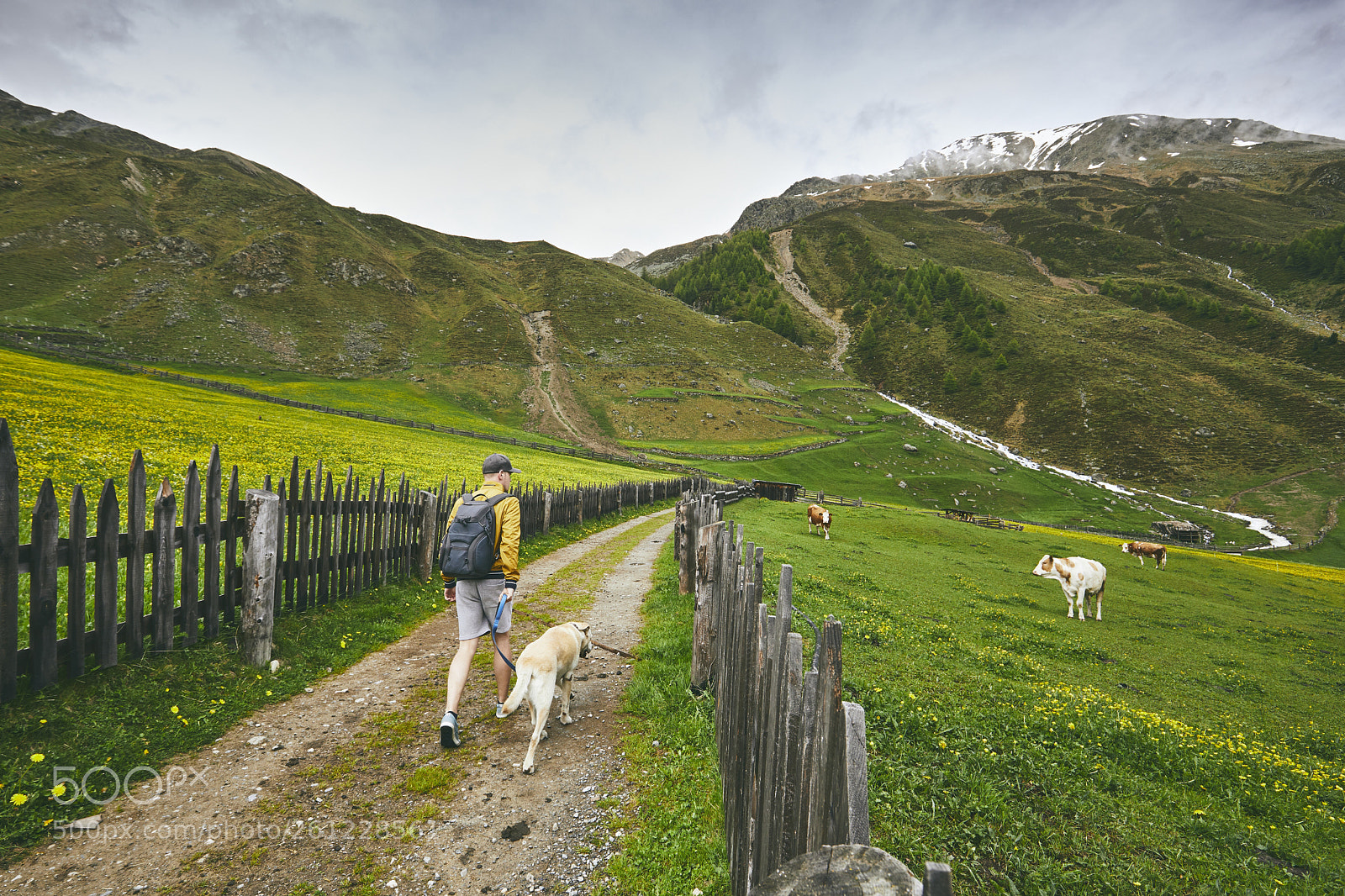 Canon EOS 5D Mark IV sample photo. Tourist with dog in photography