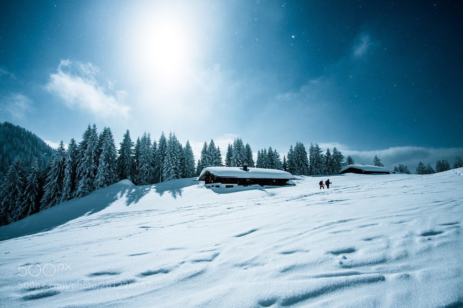 Canon EOS 6D Mark II sample photo. Frozen photography