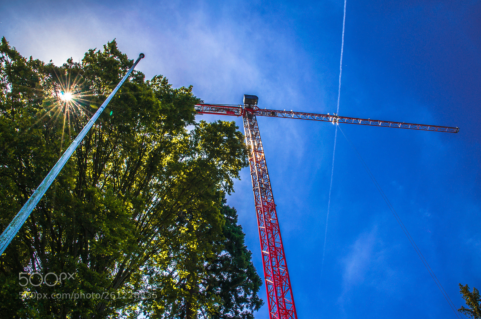 Nikon D5100 sample photo. Crane photography