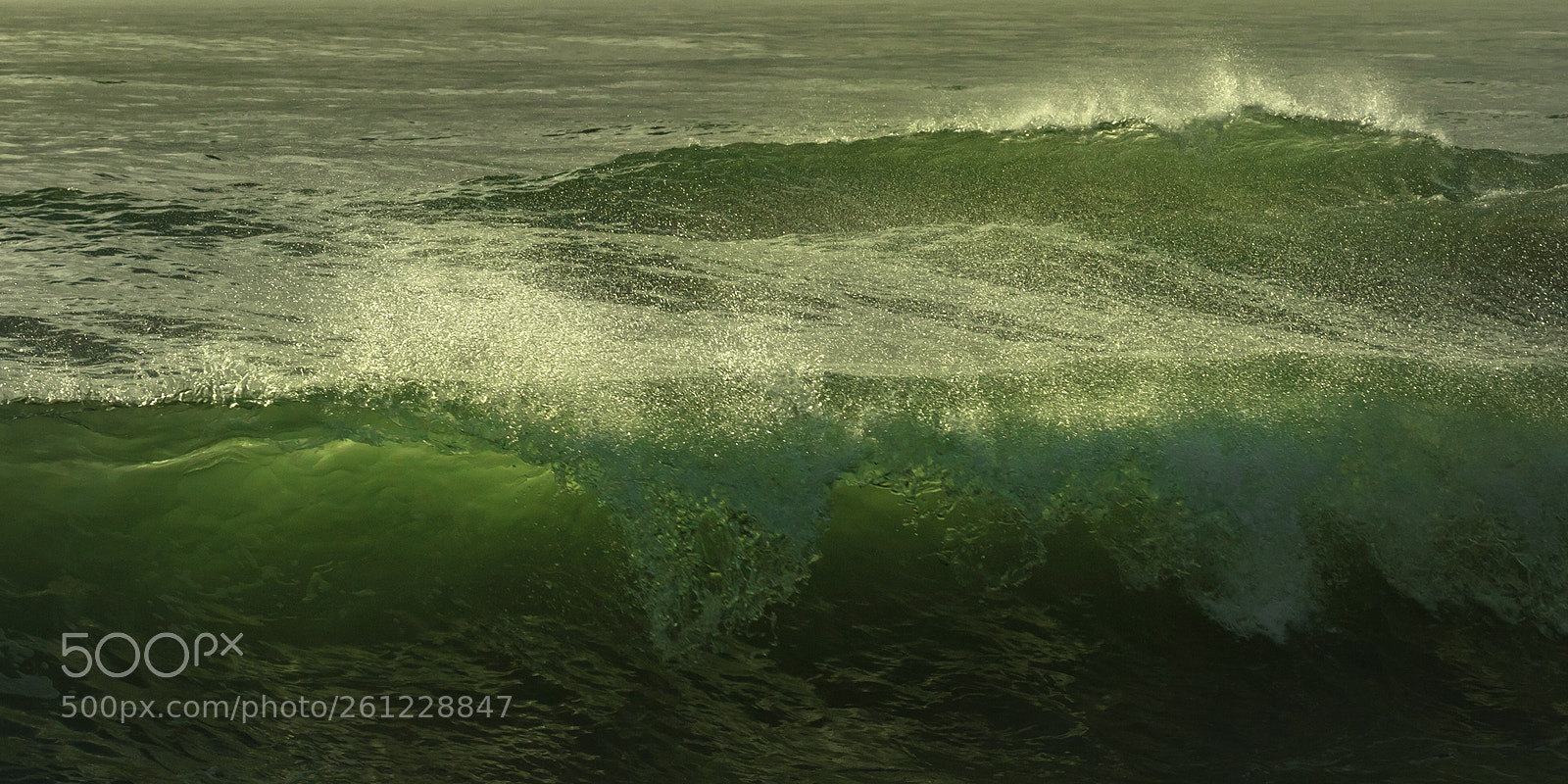 Canon EOS 7D Mark II sample photo. Wave photography