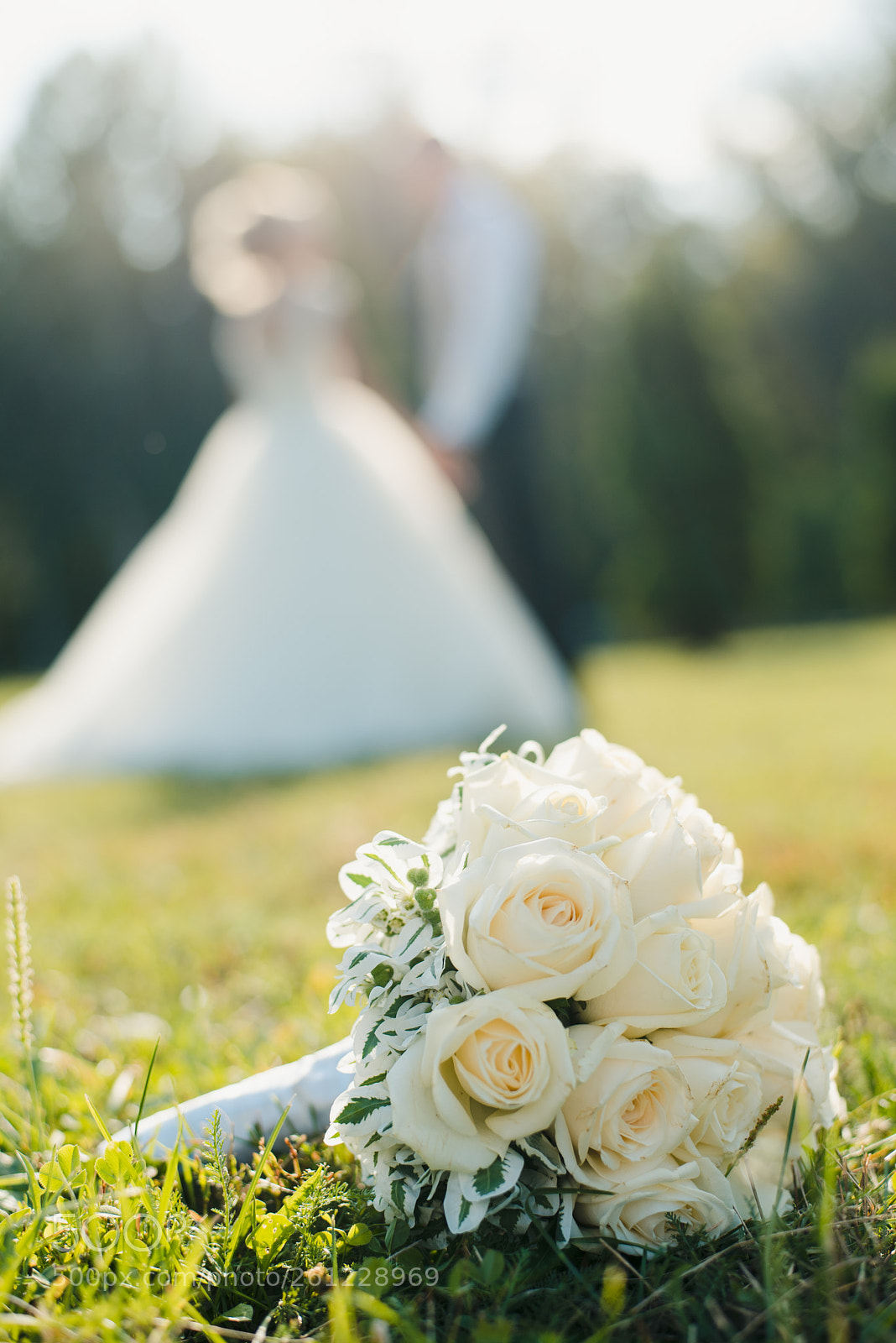 Nikon D750 sample photo. Vo photography