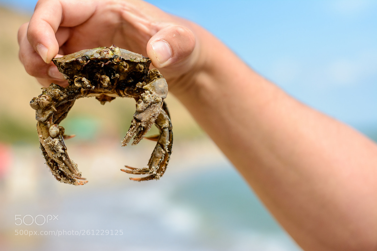 Nikon D7100 sample photo. A man holds in photography