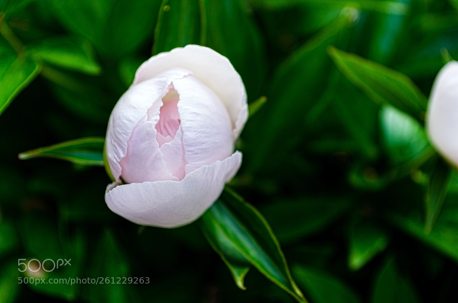 Pentax K-30 sample photo. Untitled photography