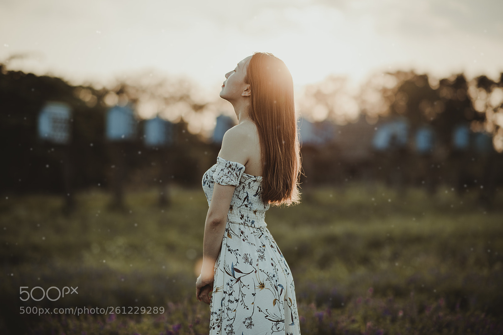 Nikon D810 sample photo. A moment photography