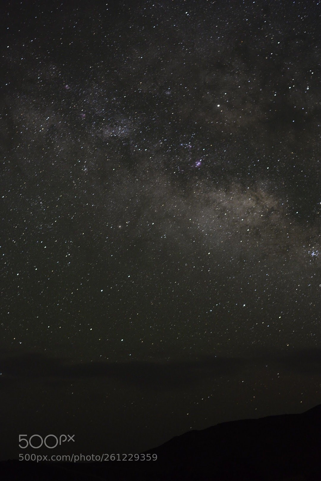 Nikon D610 sample photo. Milky way  photography