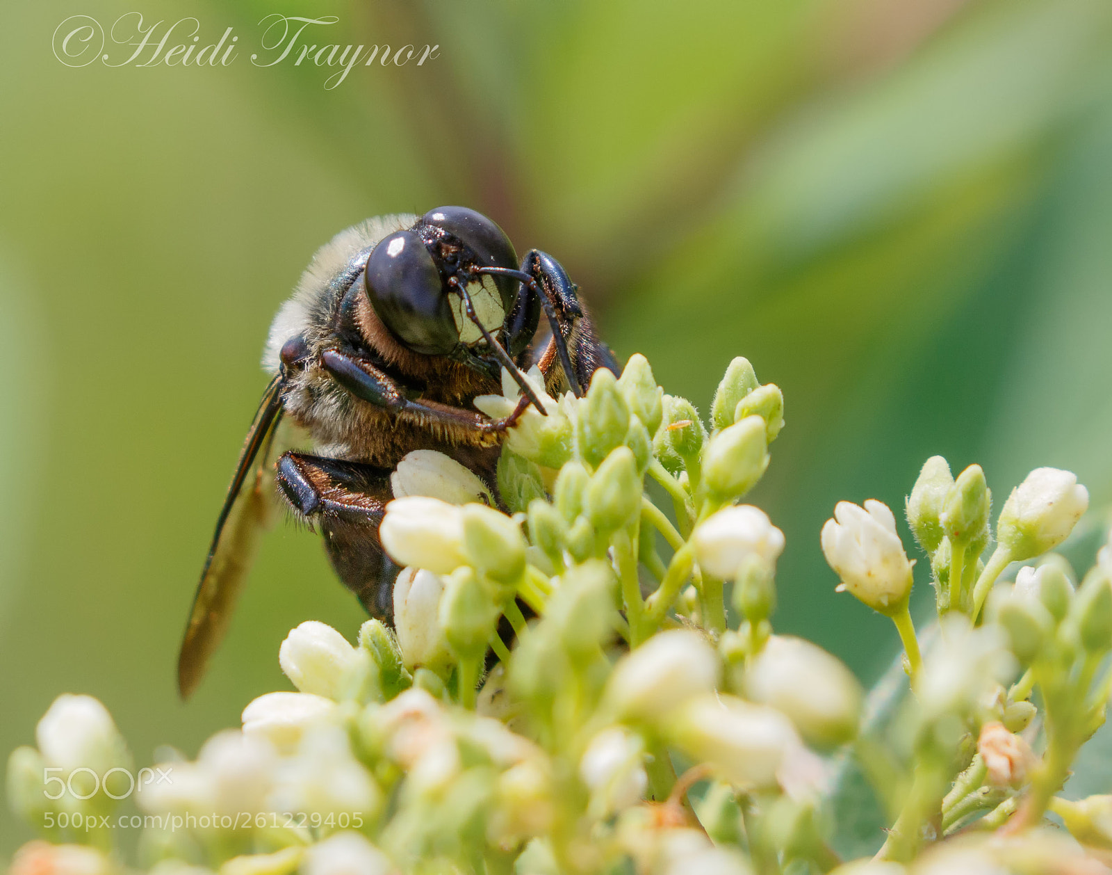 Canon EOS 7D Mark II sample photo. Lunchtime photography
