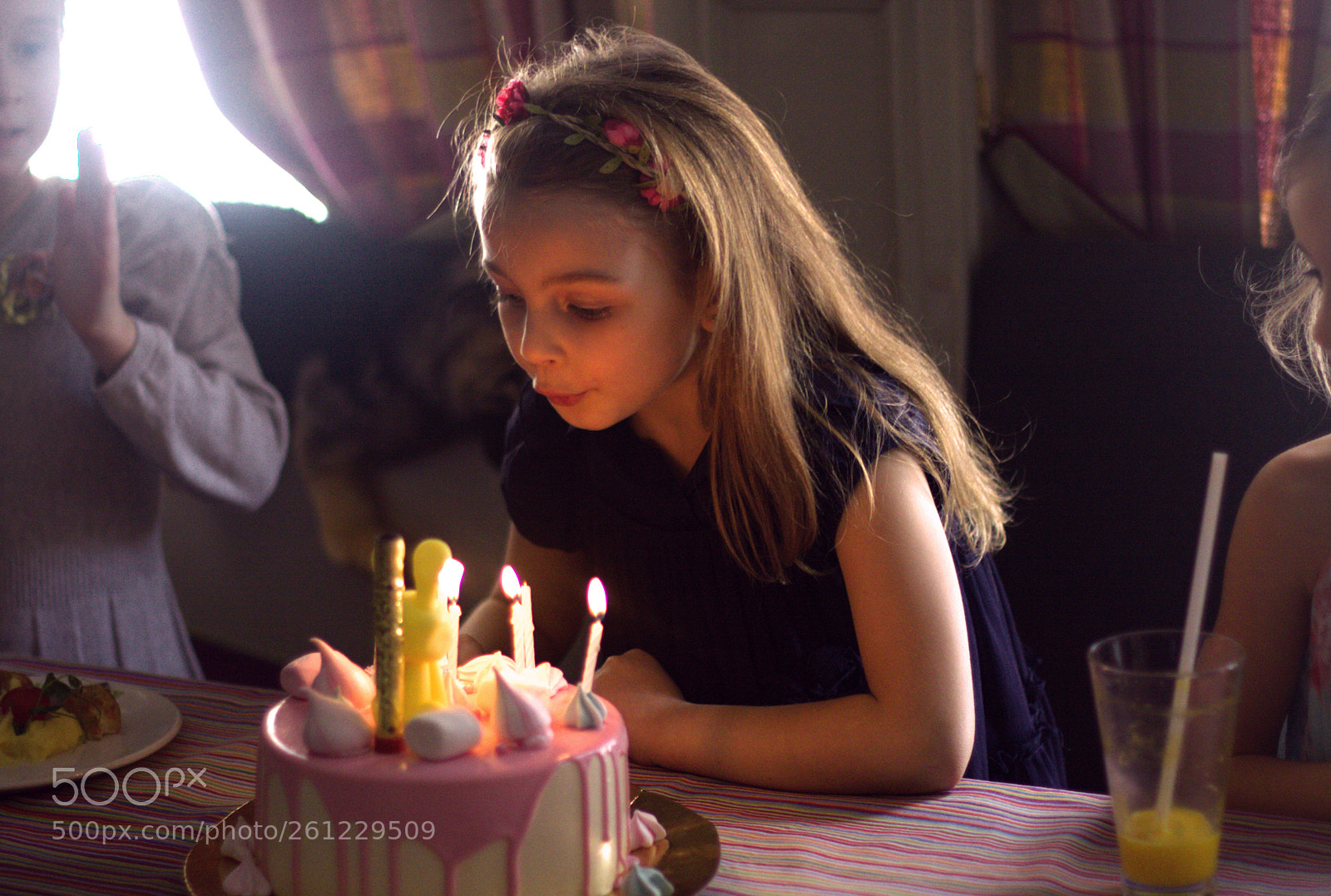 Canon EOS 50D sample photo. Mg photography