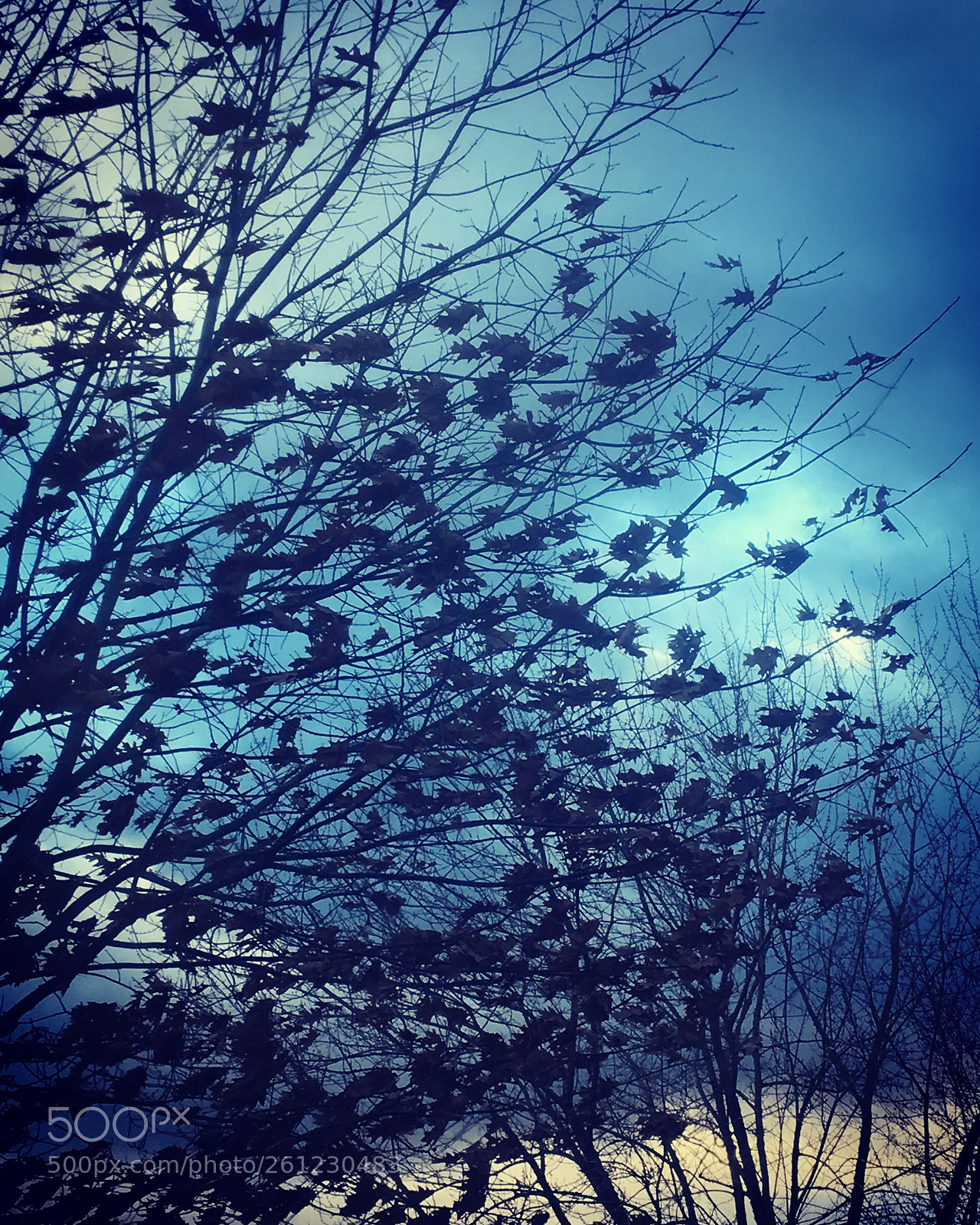 Apple iPhone 6s sample photo. Blue and yellow photography