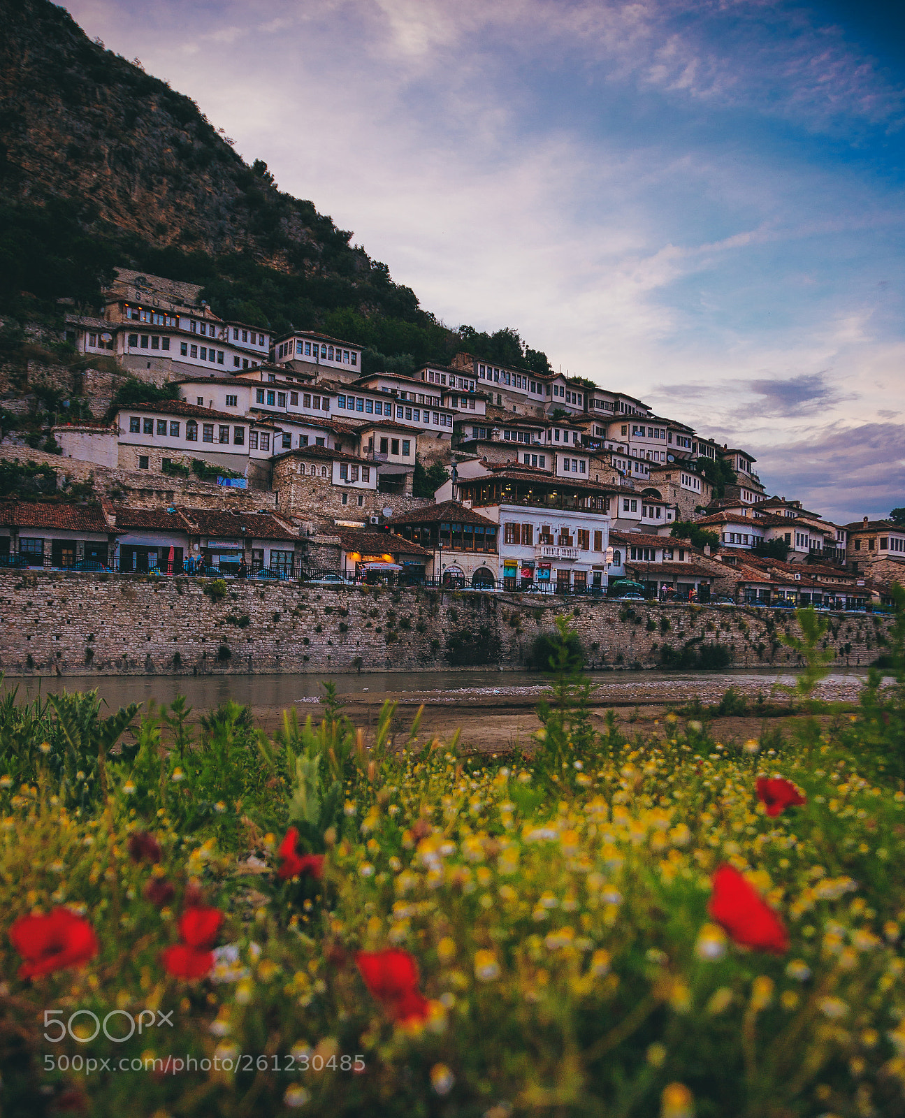 Canon EOS 6D Mark II sample photo. Berat photography