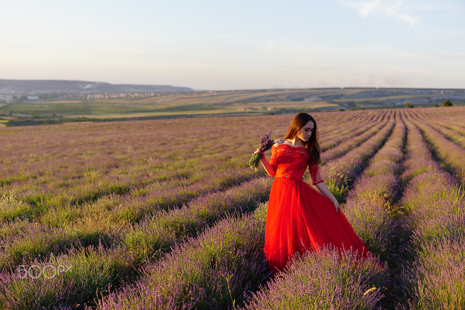 Sony a6000 + Sigma 30mm F1.4 DC DN | C sample photo. Lavеnder fields on sundown photography