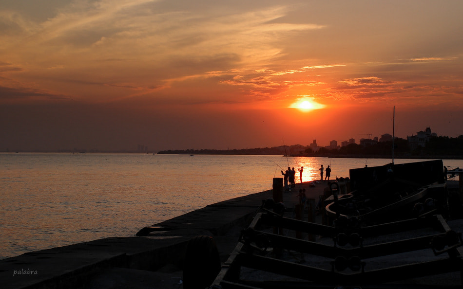 Samsung NX1 sample photo. ... photography