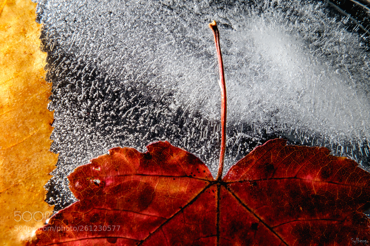 Fujifilm X-T1 sample photo. Frozen time #1 photography
