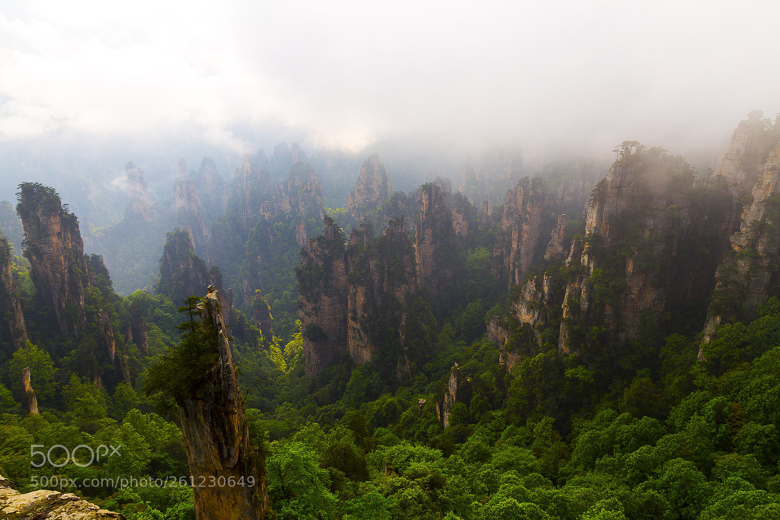 Canon EOS 6D sample photo. Zhangjiajie park  photography