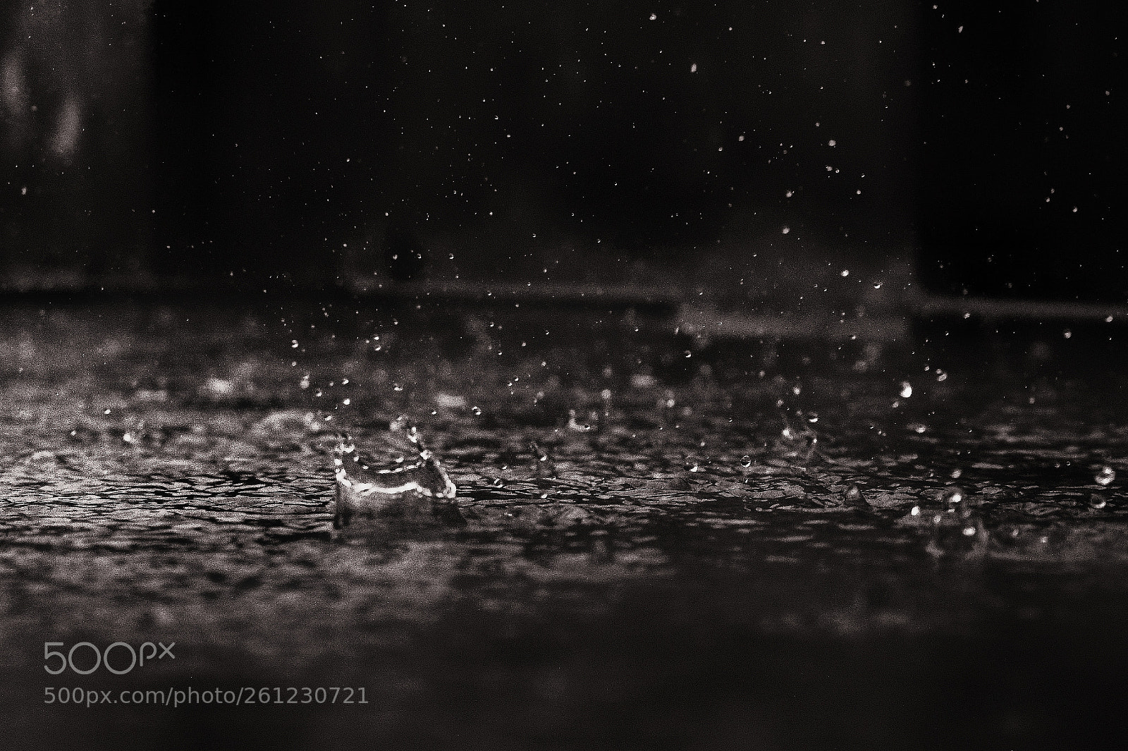 Sony SLT-A58 sample photo. Rain melts heart and photography