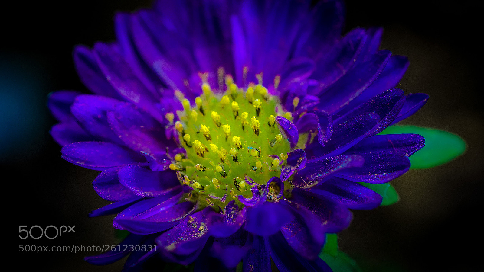 Nikon D7000 sample photo. Px photography