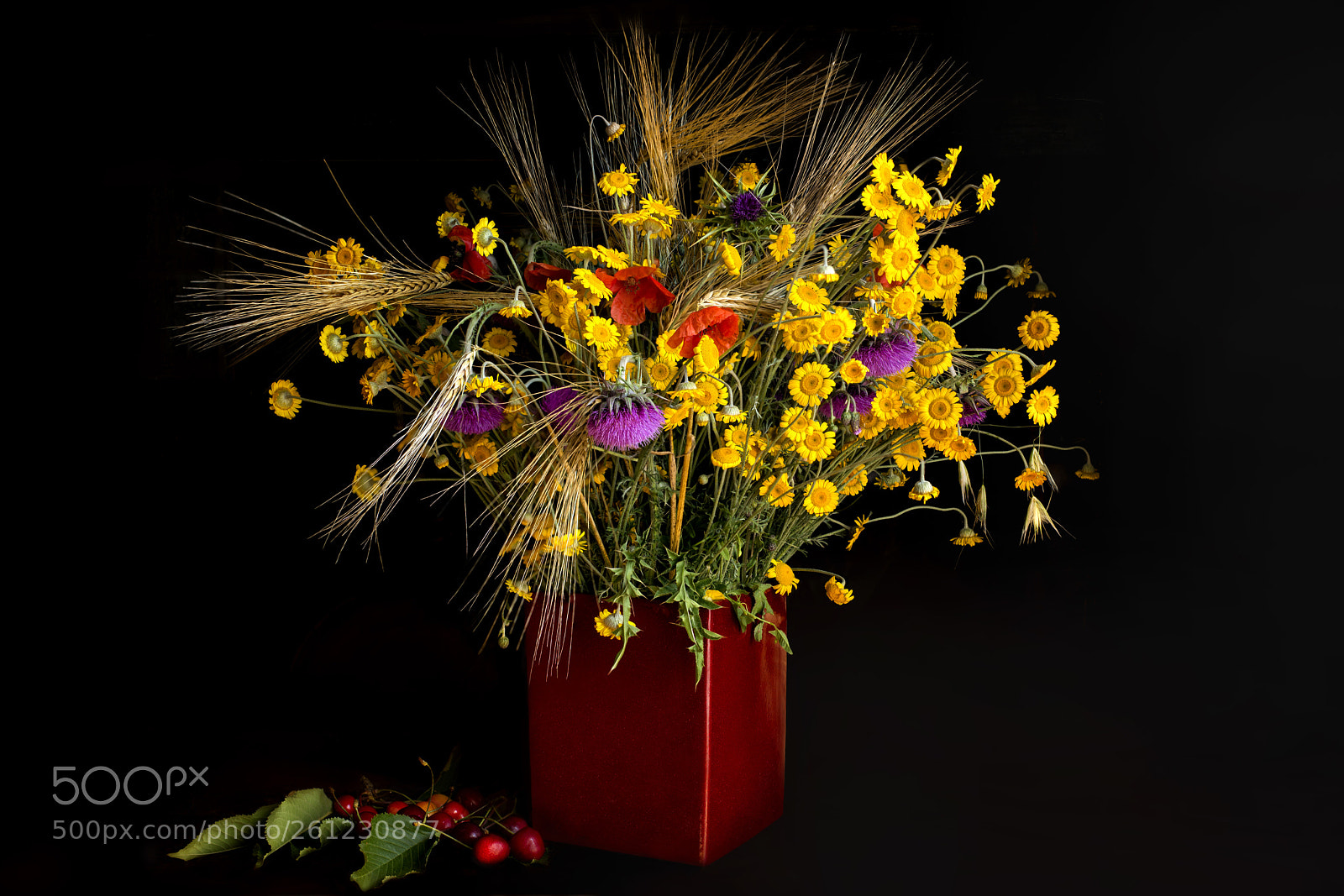 Nikon D610 sample photo. Colors of summer photography