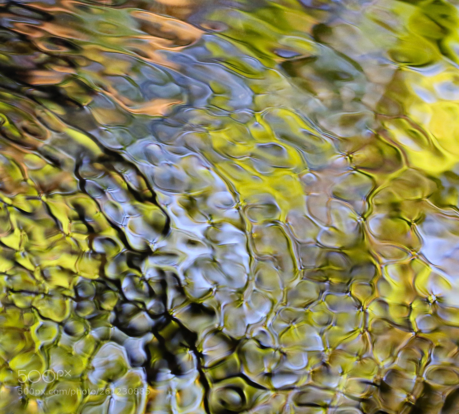 Canon EOS 7D Mark II sample photo. Water festival photography