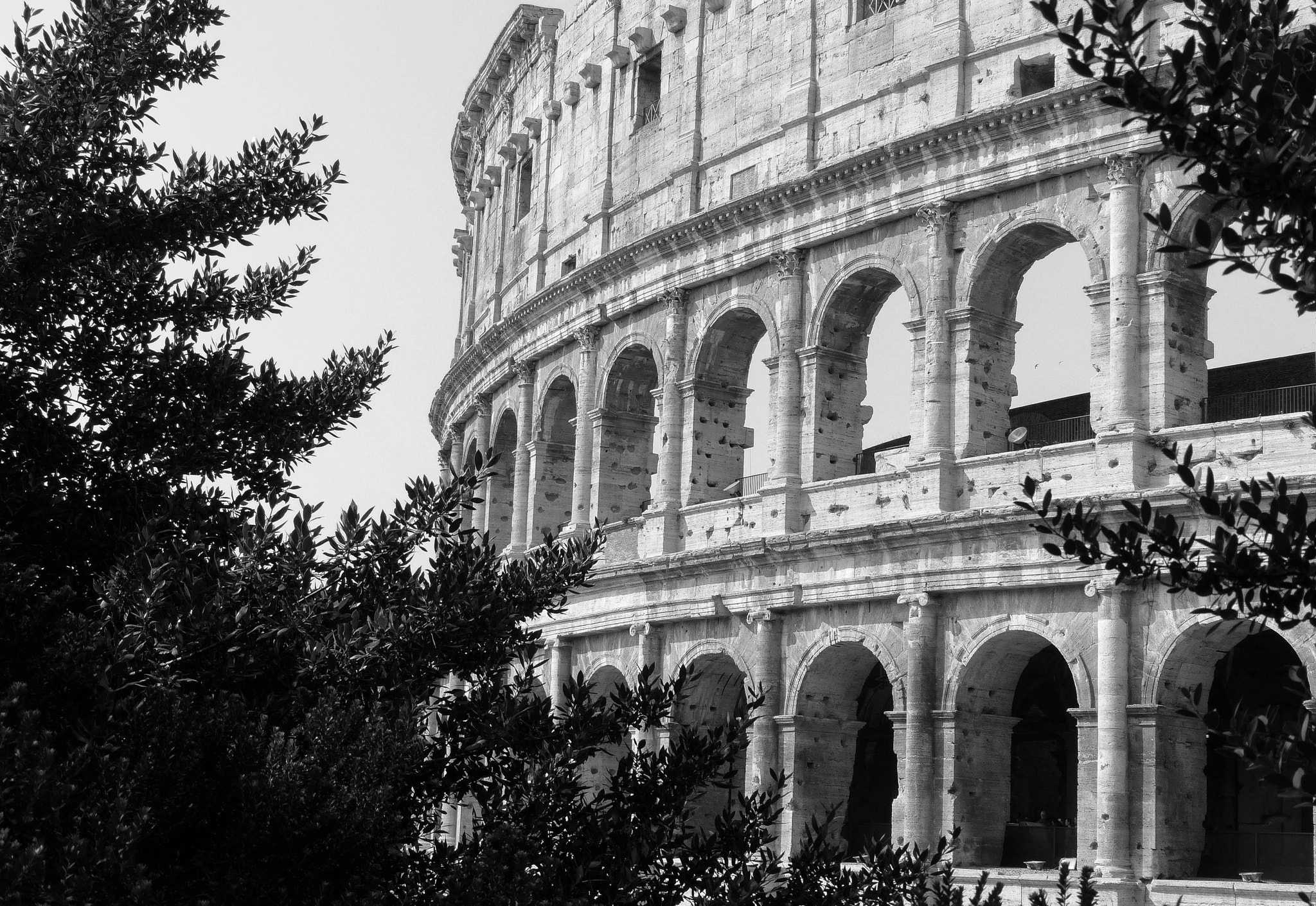 Leica V-Lux 4 sample photo. Colosseo photography