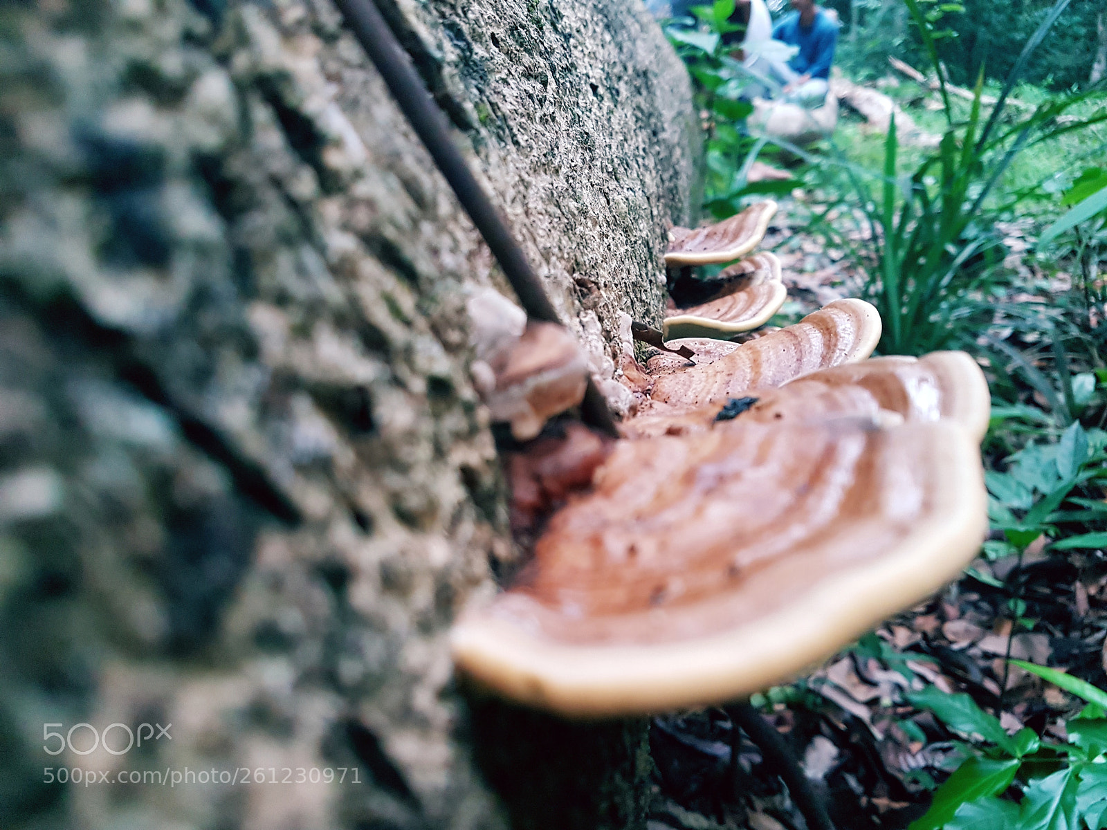 Samsung Galaxy S7 Edge sample photo. Untitled photography