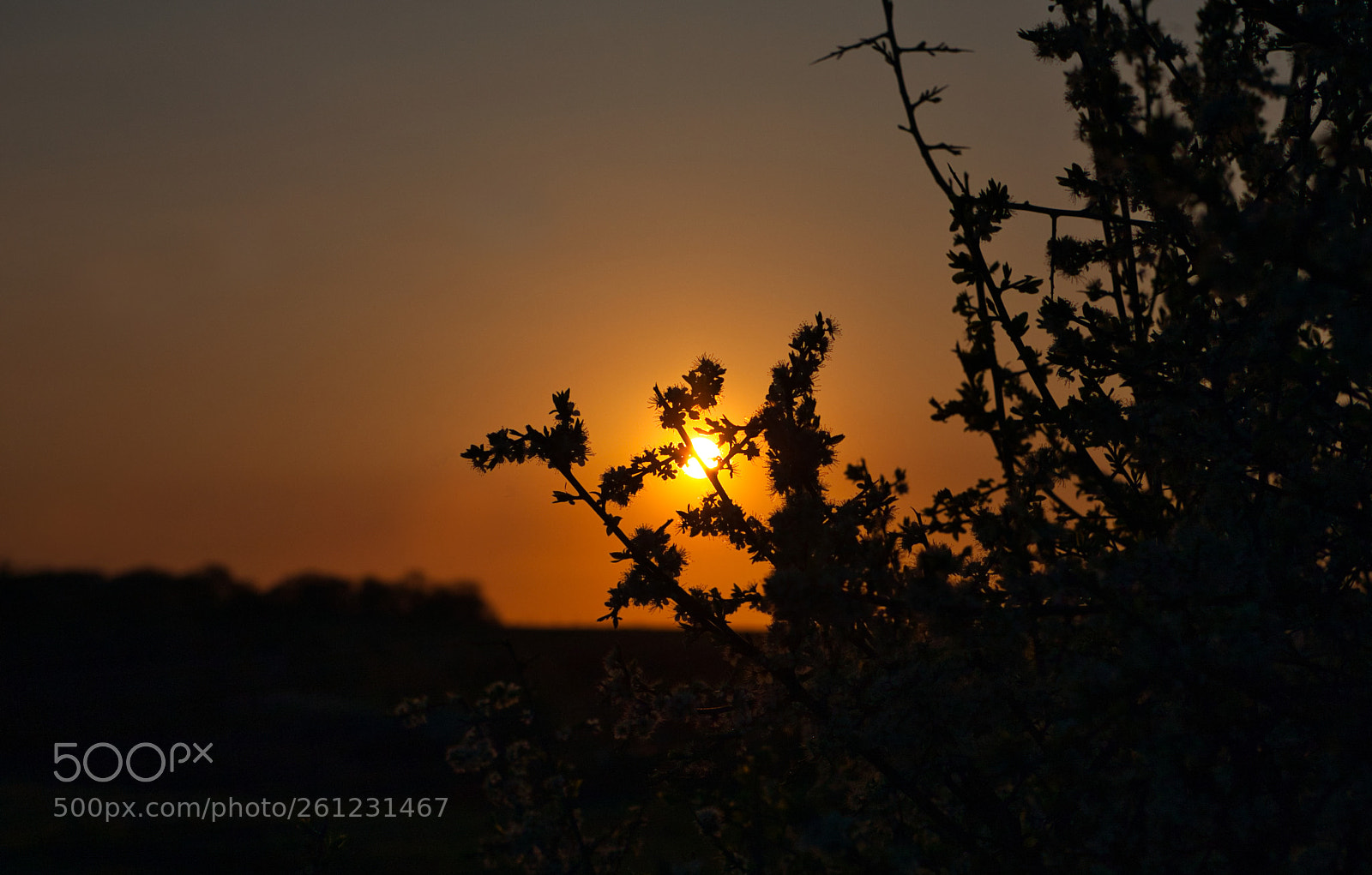 Canon EOS 5D sample photo. Sunset photography