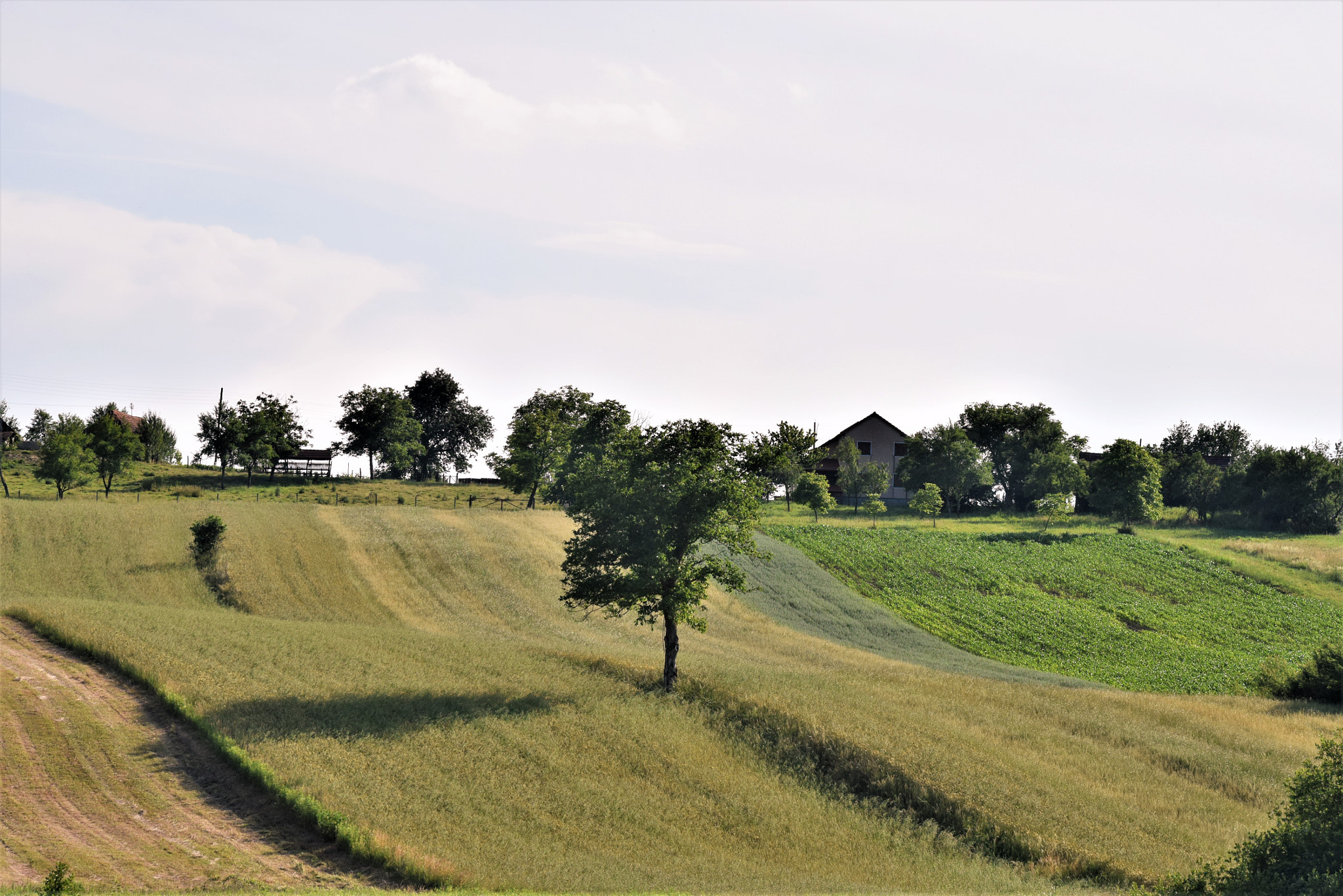 Nikon D3300 sample photo. That shadow photography
