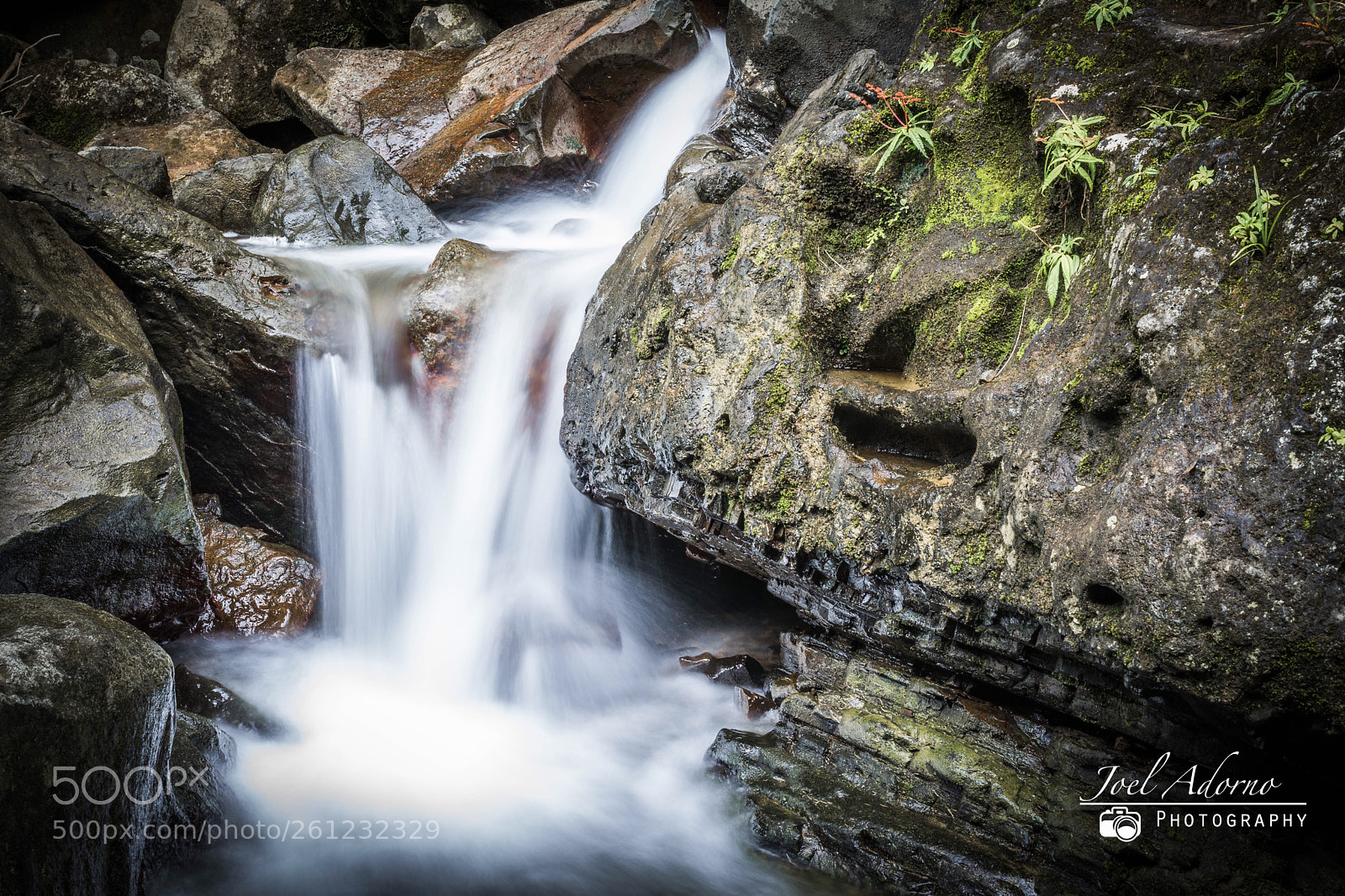 Nikon D7200 sample photo. El yunque  photography