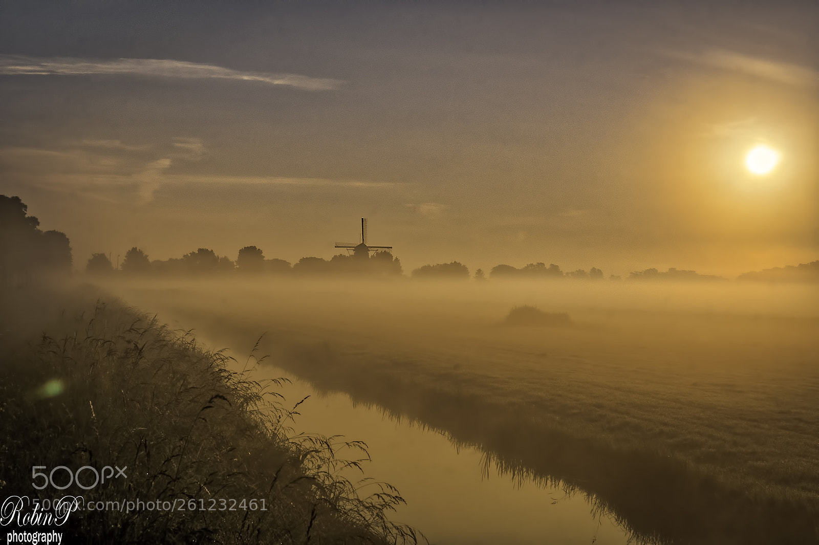 Nikon D5000 sample photo. Morning fog in holland. photography