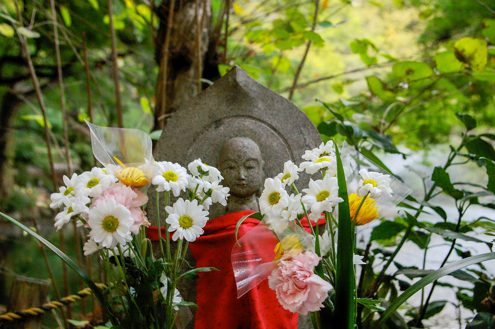 Pentax *ist DS2 sample photo. Tokyo kills me photography