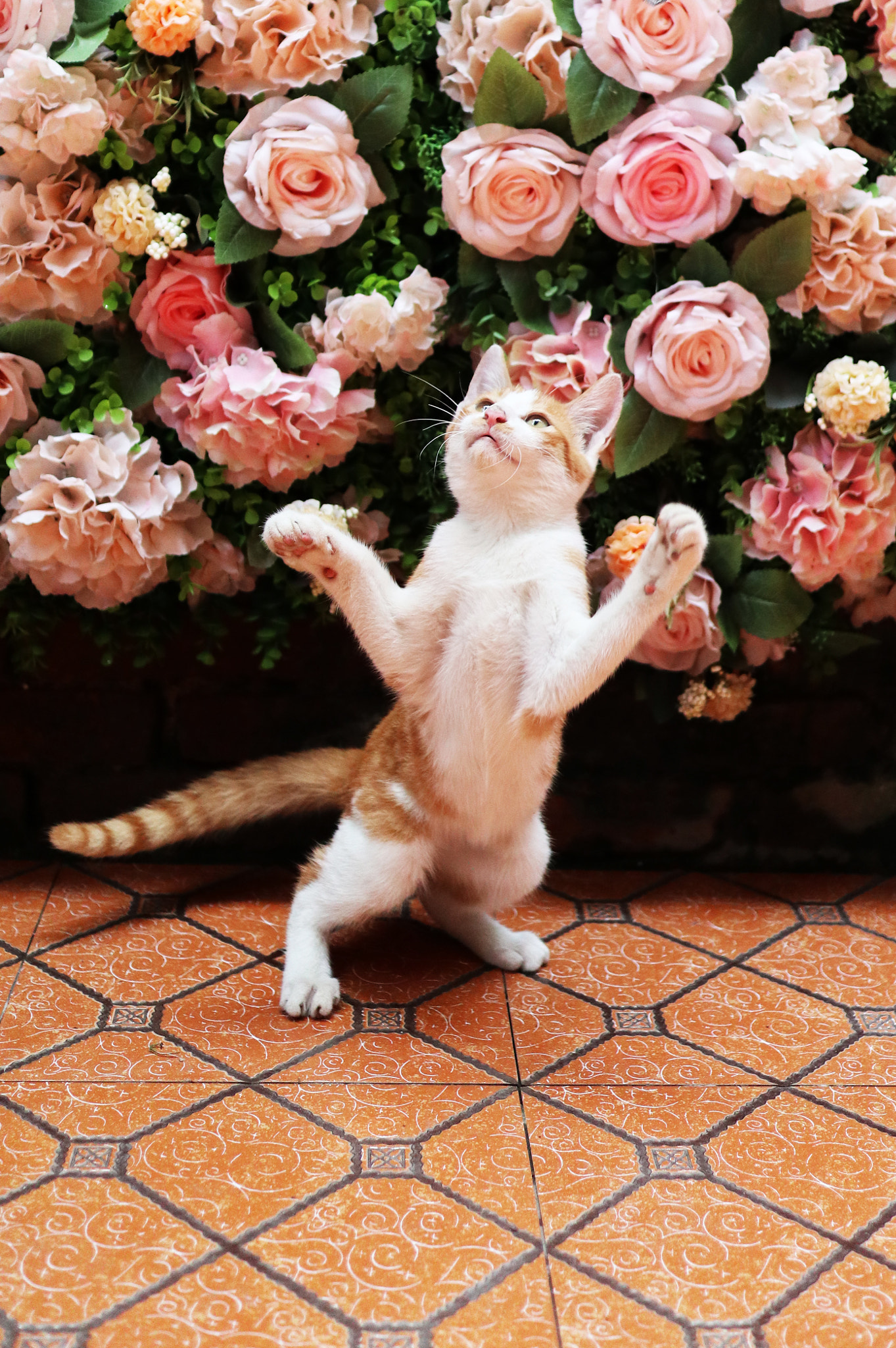 Canon EOS M100 sample photo. Dancing under the roses photography