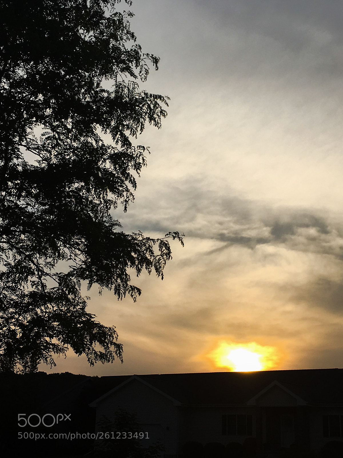 Apple iPhone 6s sample photo. Untitled photography