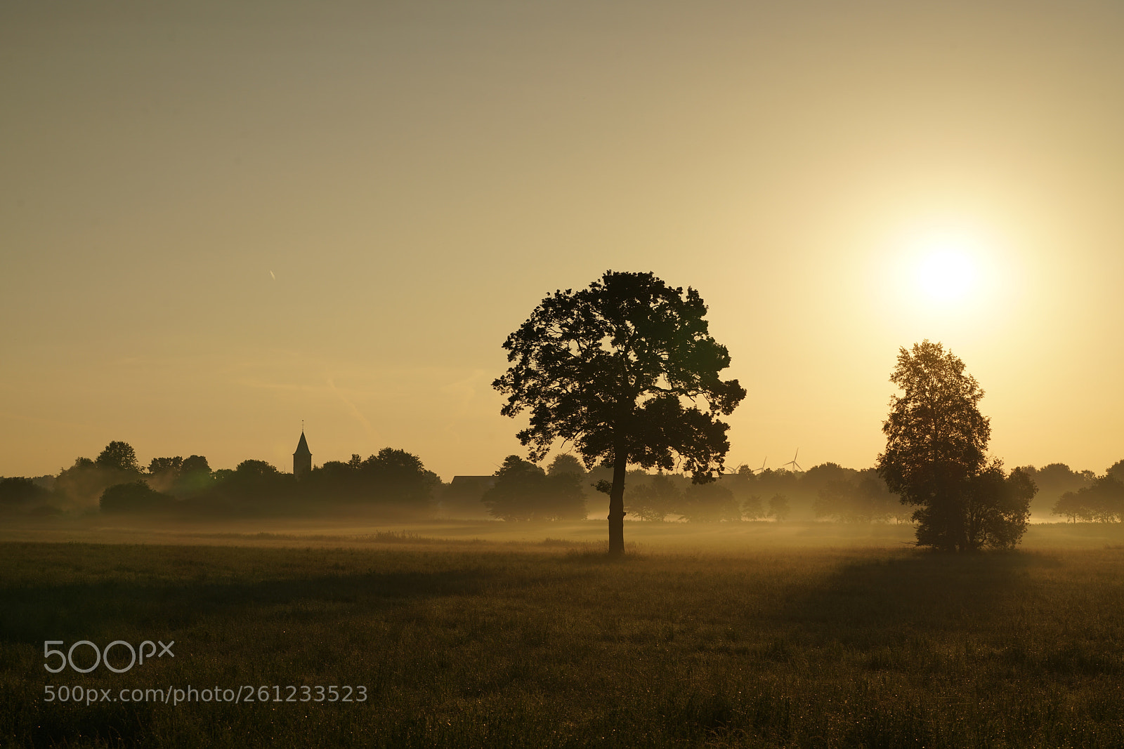 Sony a7R II sample photo. Morning glow  photography