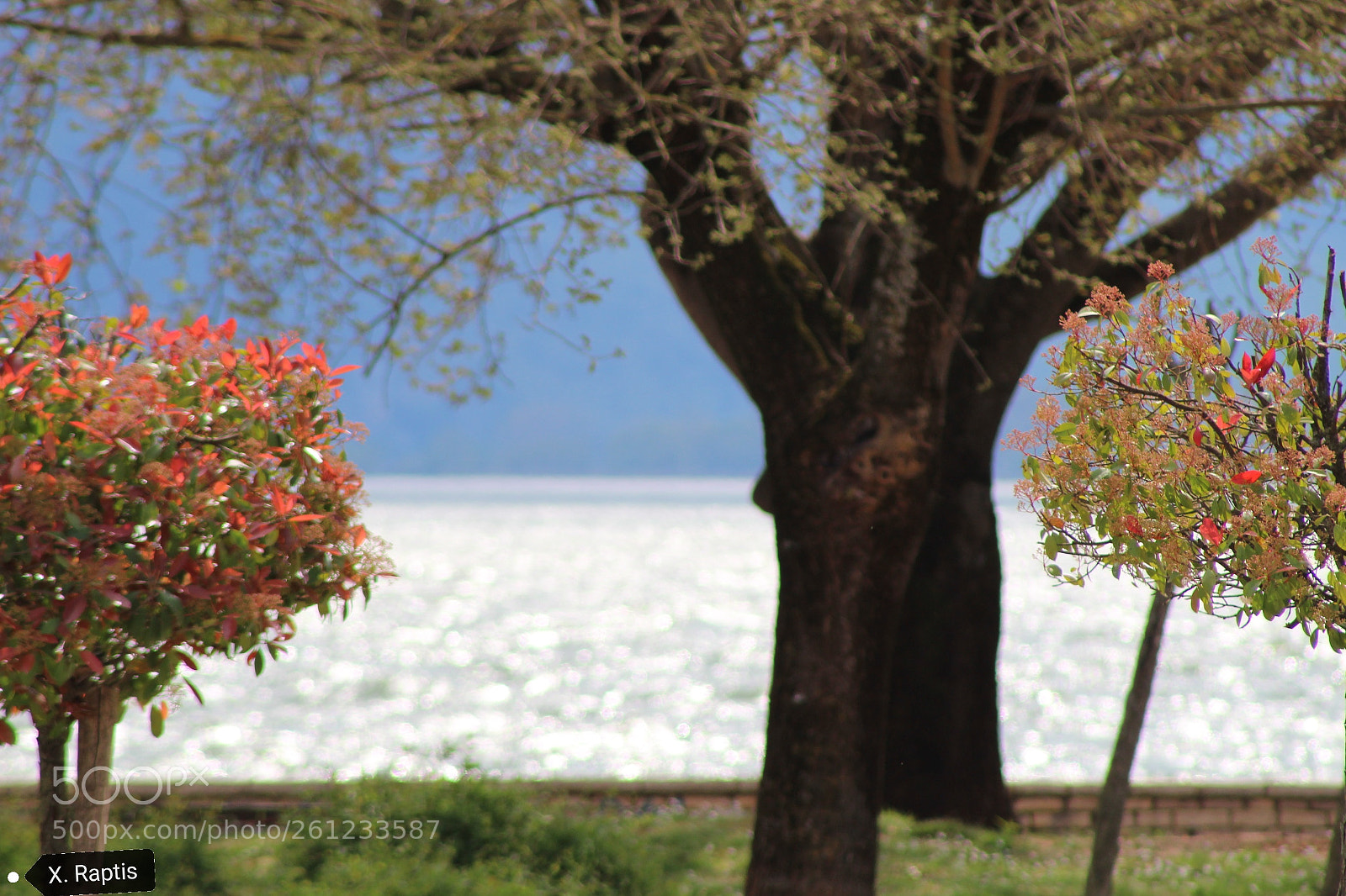 Canon EOS 1300D (EOS Rebel T6 / EOS Kiss X80) sample photo. By the lake photography