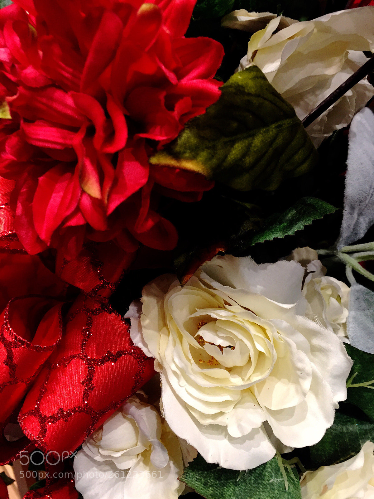 Apple iPhone 6 Plus sample photo. Today’s flower ?  photography