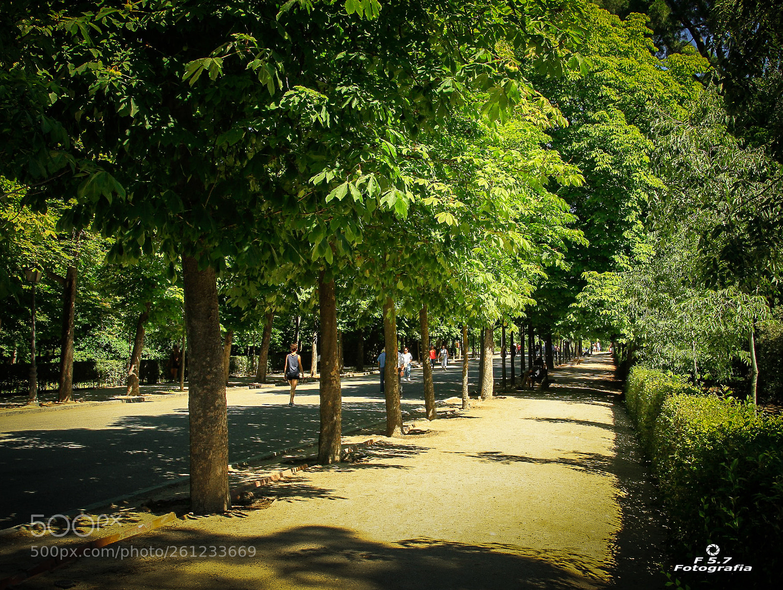 Canon EOS 7D sample photo. Parque del retiro alamedas photography