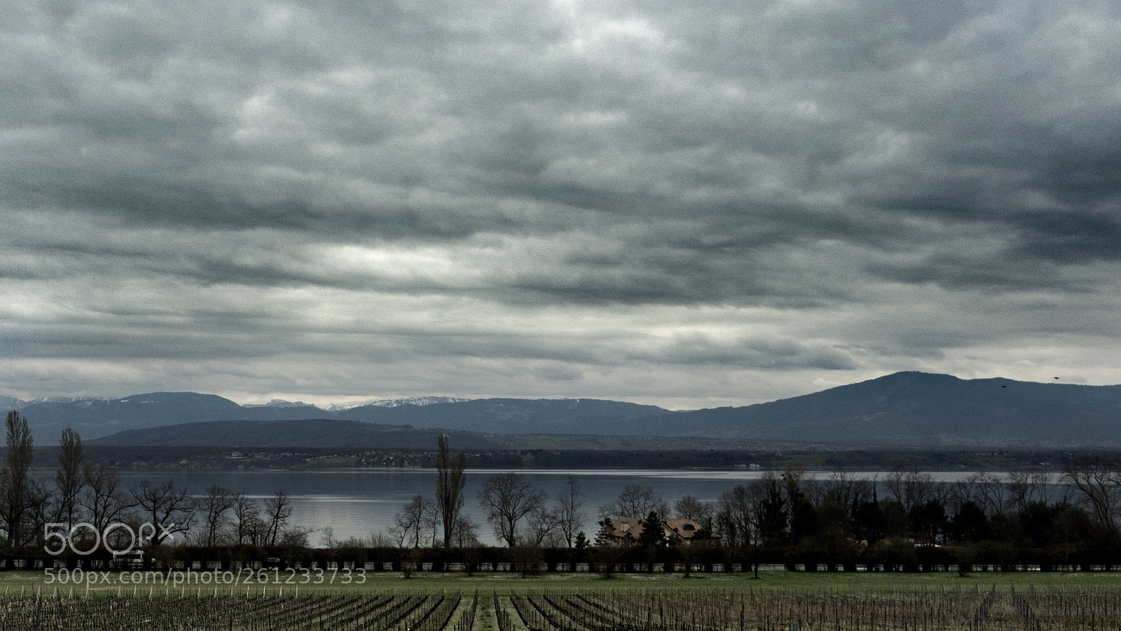 Nikon D7200 sample photo. Untitled photography