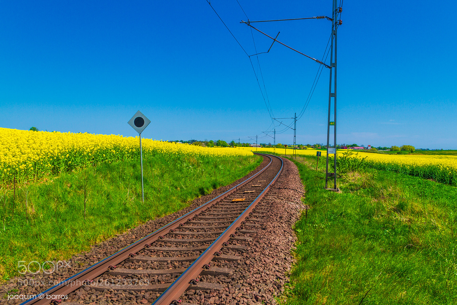 Canon EOS 7D sample photo. Yellow my world photography