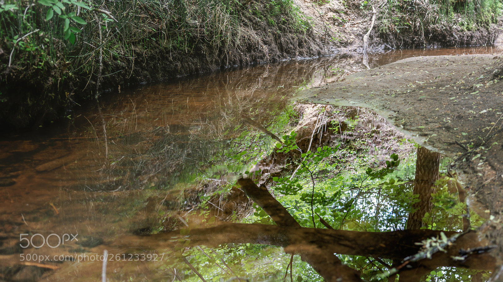 Nikon D7100 sample photo. Window to the sky photography