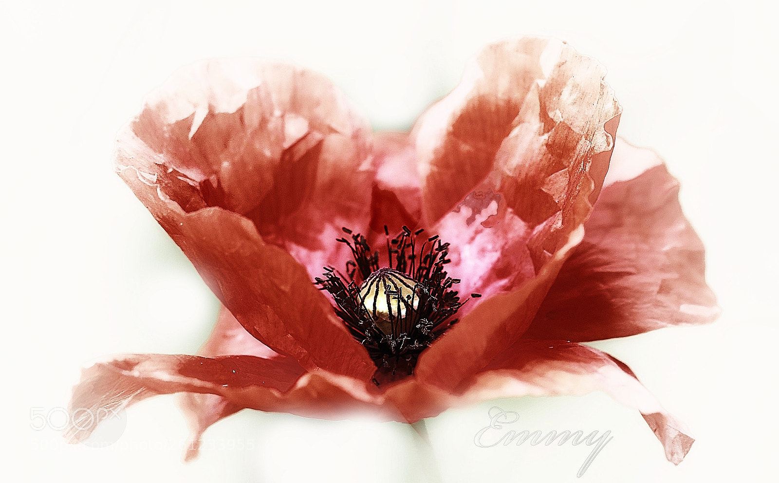 Canon EOS 7D sample photo. A real lady photography