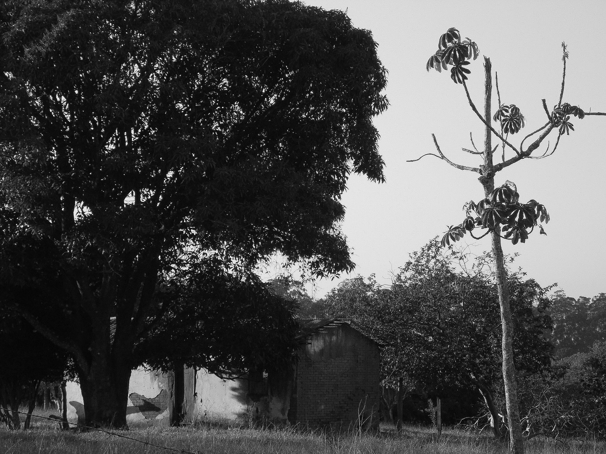Samsung WB100/  WB101 sample photo. Casa photography