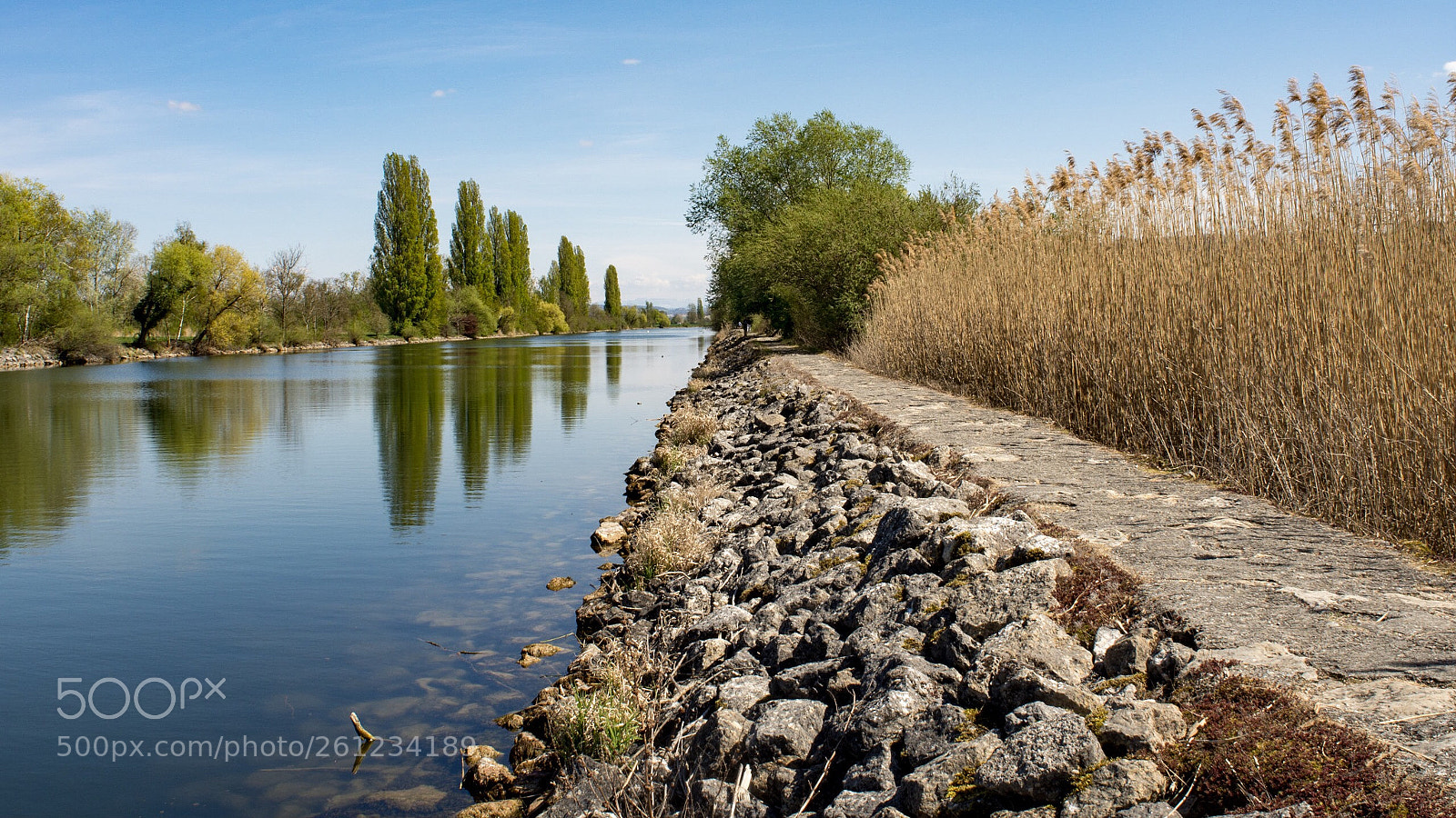 Nikon D7200 sample photo. Untitled photography