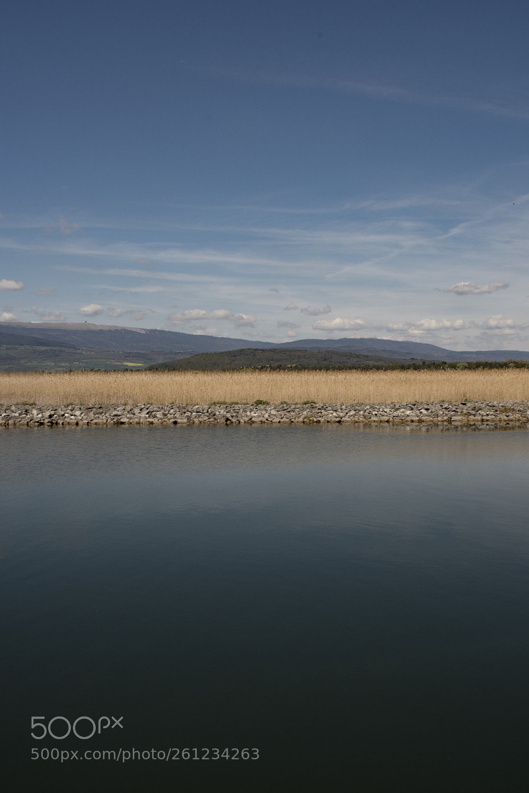 Nikon D7200 sample photo. Untitled photography