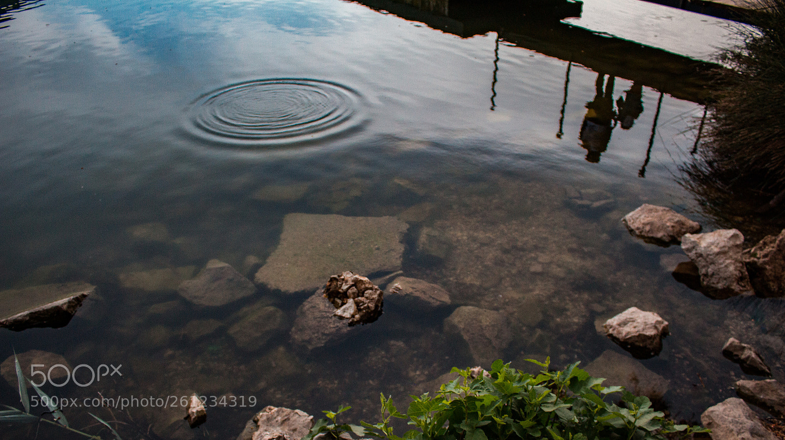 Canon EOS 700D (EOS Rebel T5i / EOS Kiss X7i) sample photo. Trasparency. photography