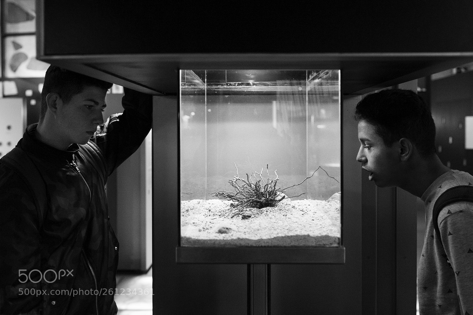 Nikon D700 sample photo. Discovering science photography