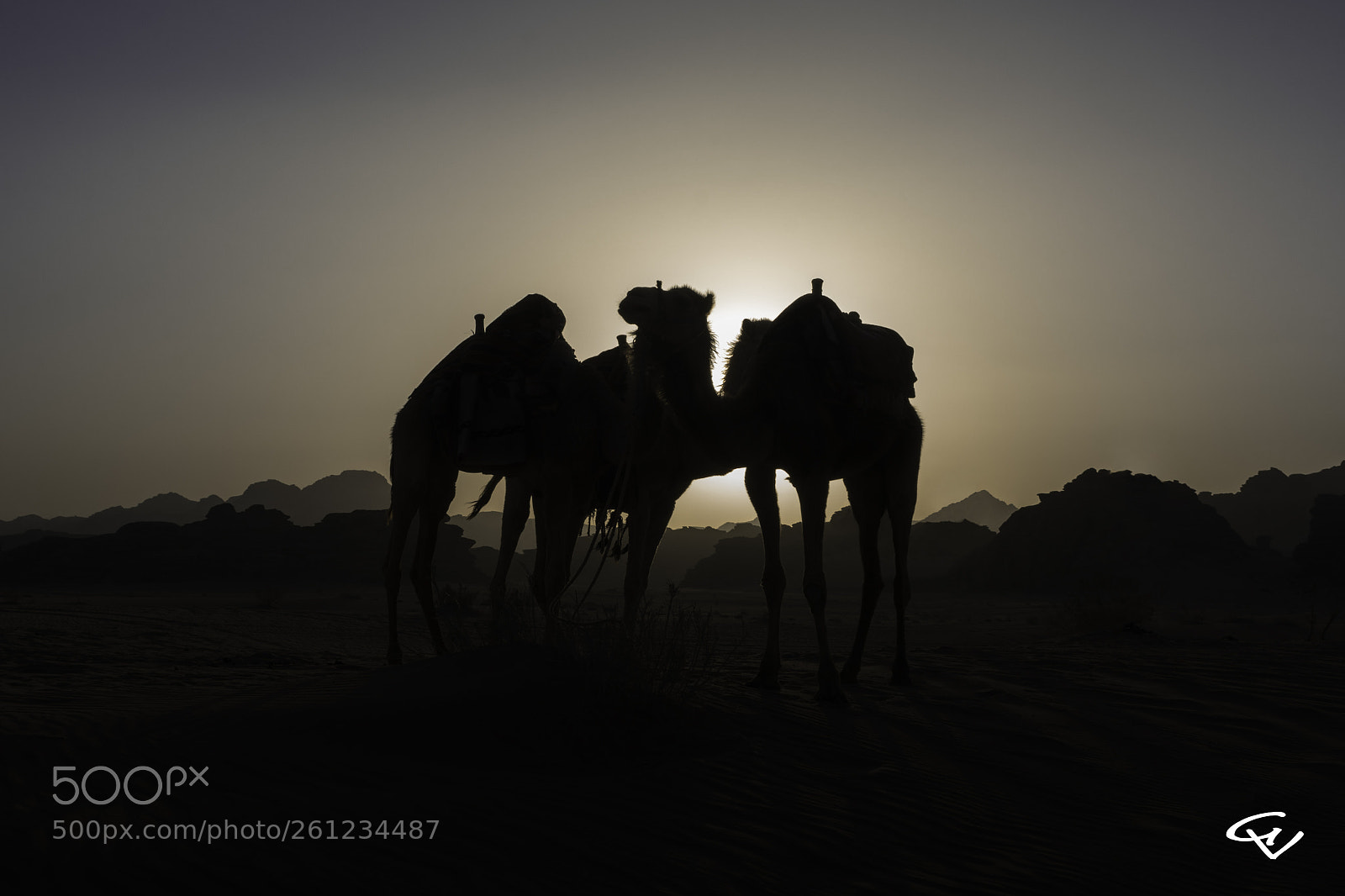 Nikon D7100 sample photo. Silhouettes photography